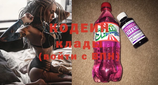 индика Покровск