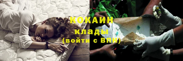 прущие грибы Покачи
