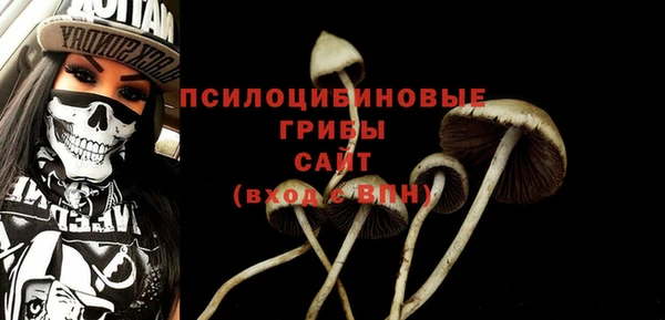 индика Покровск