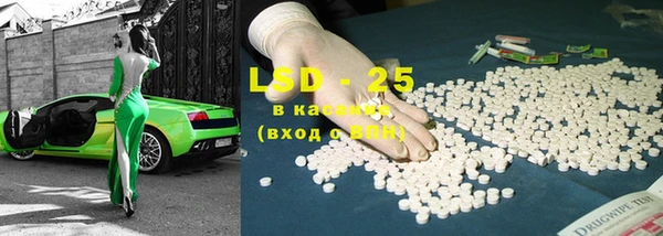 прущие грибы Покачи