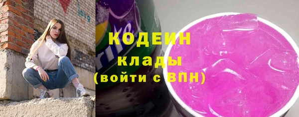 индика Покровск