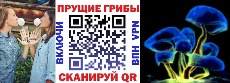 Галлюциногенные грибы MAGIC MUSHROOMS Псков